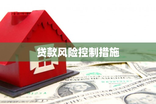 将军贷款风险控制措施
