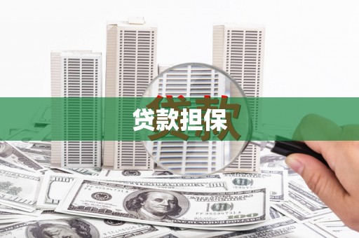 西畴贷款担保