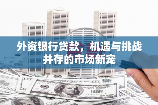环江外资银行贷款，机遇与挑战并存的市场新宠