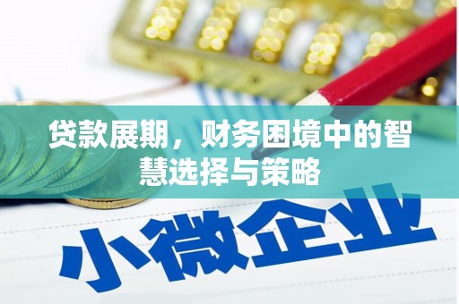 左镇贷款展期，财务困境中的智慧选择与策略
