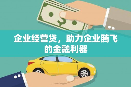 大洼企业经营贷，助力企业腾飞的金融利器