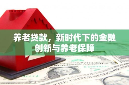 新泰养老贷款，新时代下的金融创新与养老保障