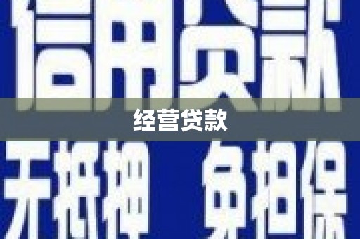 竹田经营贷款