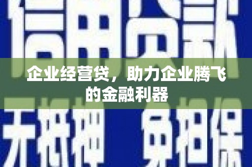 新营企业经营贷，助力企业腾飞的金融利器