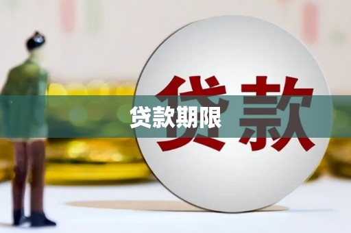 卧龙贷款期限