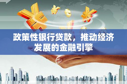 大丰政策性银行贷款，推动经济发展的金融引擎