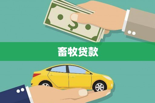 黄梅畜牧贷款