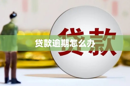 广河贷款逾期怎么办