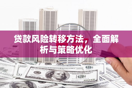 甘谷贷款风险转移方法，全面解析与策略优化