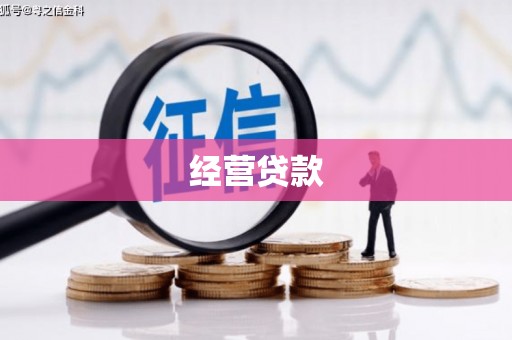 镇平经营贷款