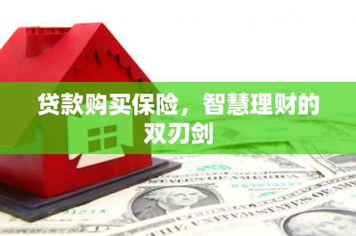 莱城贷款购买保险，智慧理财的双刃剑