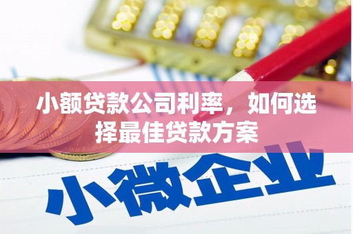 海南小额贷款公司利率，如何选择最佳贷款方案
