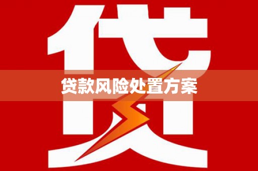 普湾新区贷款风险处置方案
