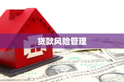 沙鹿贷款风险管理