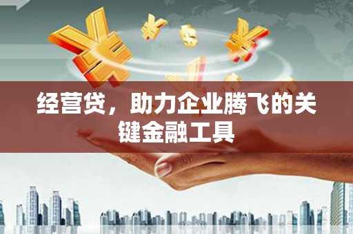 伊宁经营贷，助力企业腾飞的关键金融工具