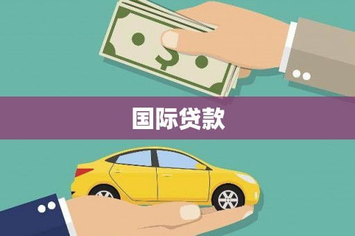屏边国际贷款
