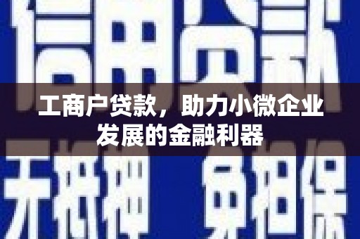 旺苍工商户贷款，助力小微企业发展的金融利器