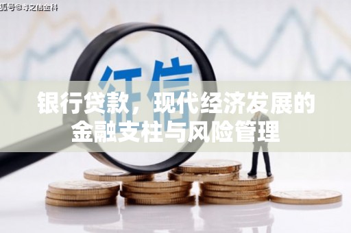 芦竹银行贷款，现代经济发展的金融支柱与风险管理