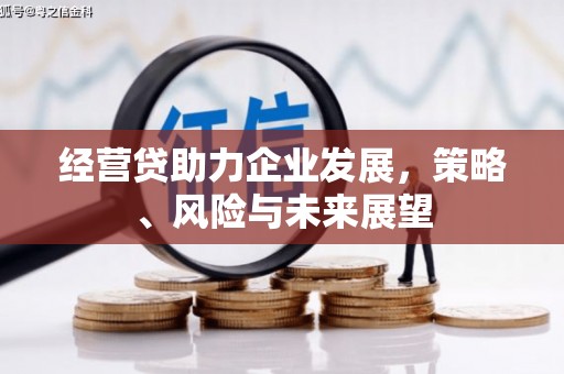 金阳经营贷助力企业发展，策略、风险与未来展望