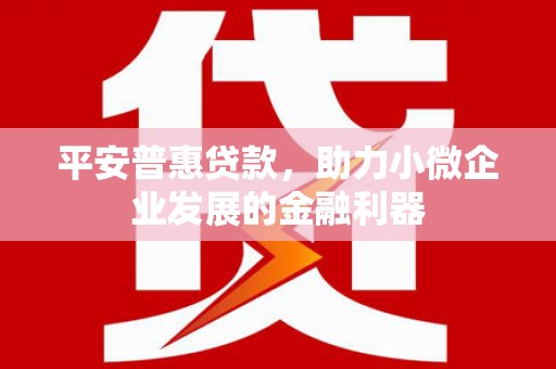 林园平安普惠贷款，助力小微企业发展的金融利器