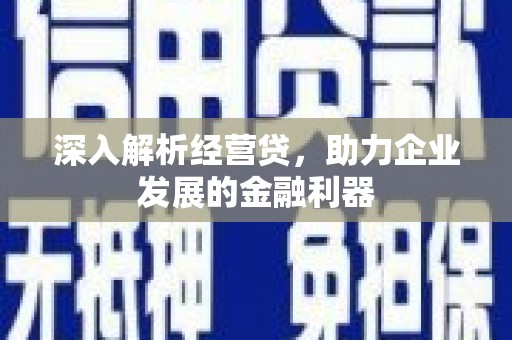 东乡族深入解析经营贷，助力企业发展的金融利器