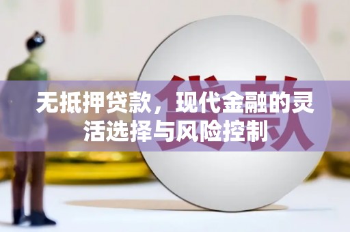 鹤庆无抵押贷款，现代金融的灵活选择与风险控制