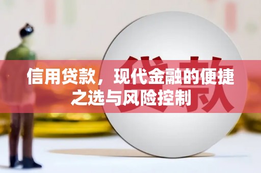 商南信用贷款，现代金融的便捷之选与风险控制