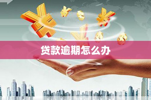 湖里贷款逾期怎么办