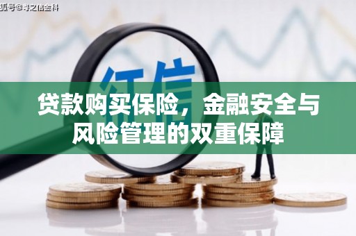 澄城贷款购买保险，金融安全与风险管理的双重保障