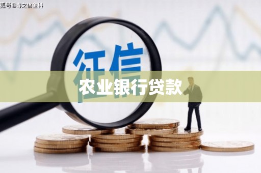 澄迈农业银行贷款