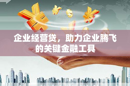 馆陶企业经营贷，助力企业腾飞的关键金融工具