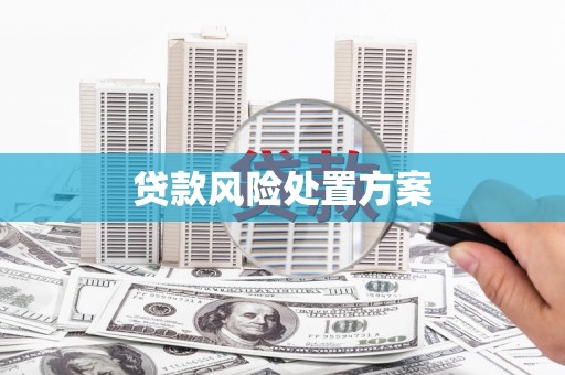 南澳贷款风险处置方案