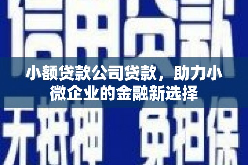 全椒小额贷款公司贷款，助力小微企业的金融新选择