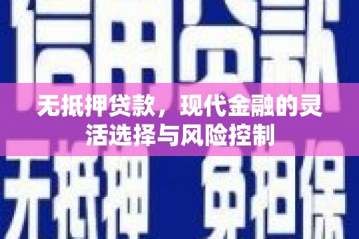 沂南无抵押贷款，现代金融的灵活选择与风险控制