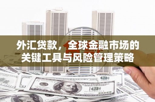 印江外汇贷款，全球金融市场的关键工具与风险管理策略