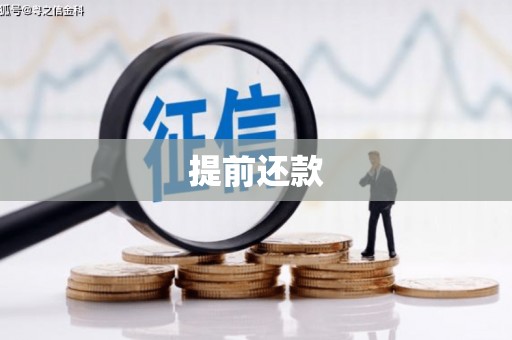 比如提前还款