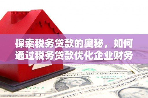溪湖探索税务贷款的奥秘，如何通过税务贷款优化企业财务