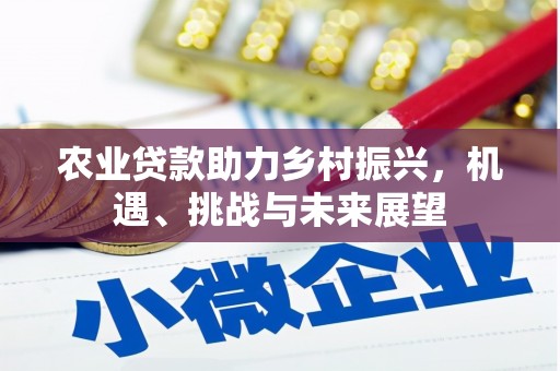 无锡农业贷款助力乡村振兴，机遇、挑战与未来展望