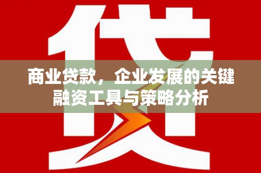阆中商业贷款，企业发展的关键融资工具与策略分析