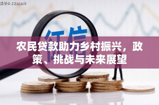岳麓农民贷款助力乡村振兴，政策、挑战与未来展望