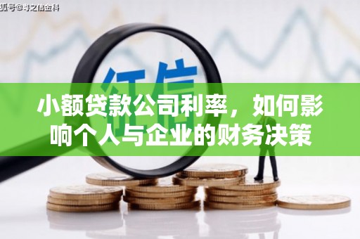 巩留小额贷款公司利率，如何影响个人与企业的财务决策