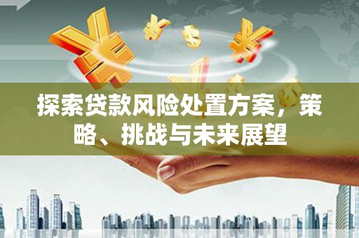 唐县探索贷款风险处置方案，策略、挑战与未来展望