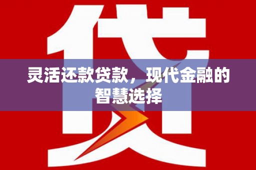 路环岛灵活还款贷款，现代金融的智慧选择