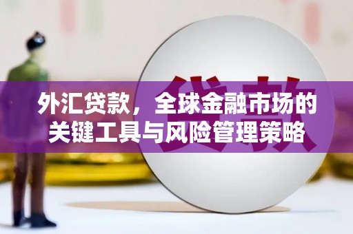 达拉特旗外汇贷款，全球金融市场的关键工具与风险管理策略