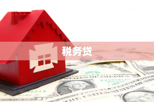 大里税务贷