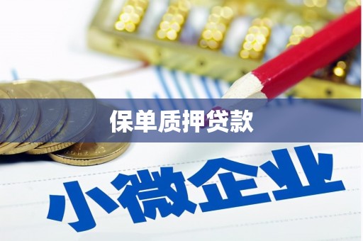 镇宁保单质押贷款