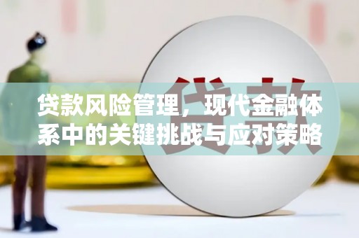 鹤峰贷款风险管理，现代金融体系中的关键挑战与应对策略