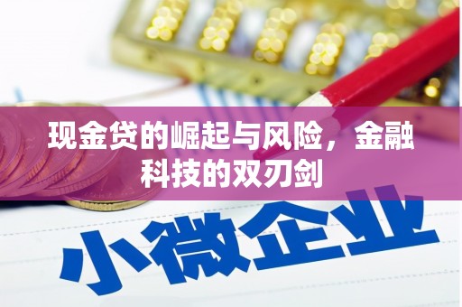 柳营现金贷的崛起与风险，金融科技的双刃剑