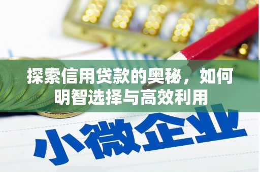 雄县探索信用贷款的奥秘，如何明智选择与高效利用