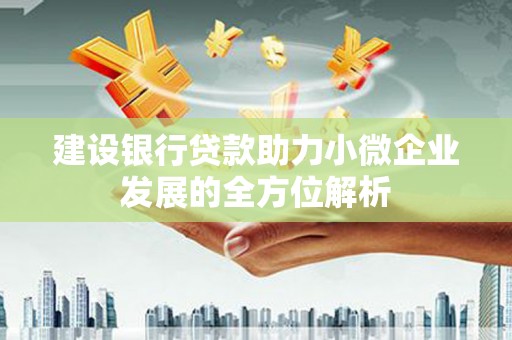 汪清建设银行贷款助力小微企业发展的全方位解析